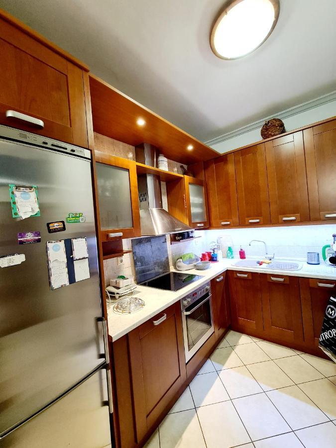 Large Terrace Apartment Near City Centre Atina Dış mekan fotoğraf
