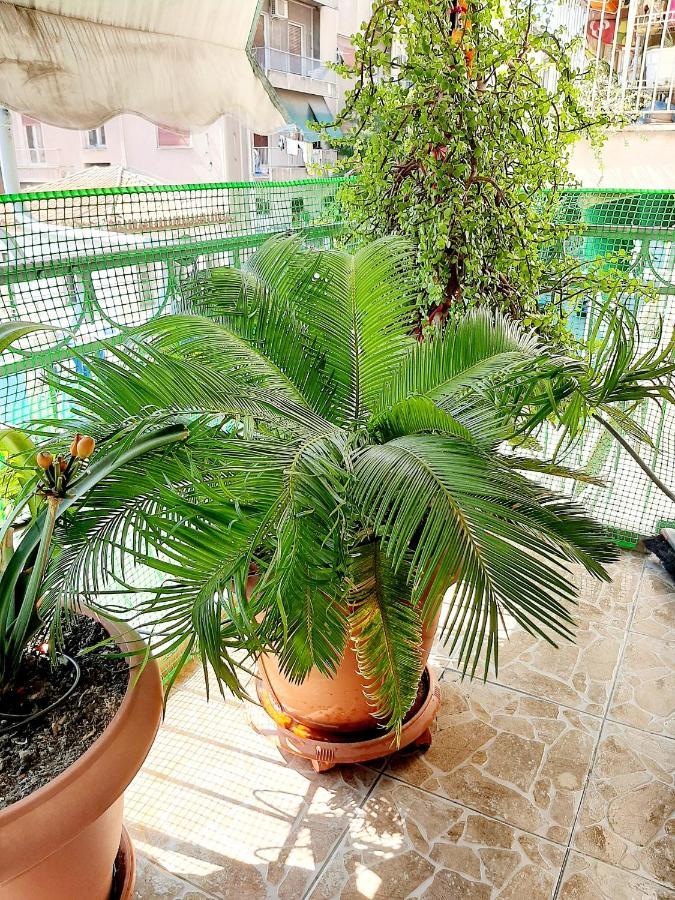 Large Terrace Apartment Near City Centre Atina Dış mekan fotoğraf