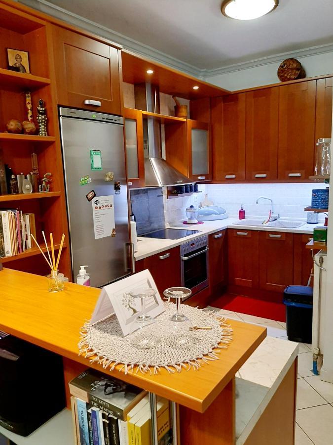 Large Terrace Apartment Near City Centre Atina Dış mekan fotoğraf